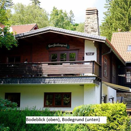 Ferienwohnungen Forellengrund Schierke Ngoại thất bức ảnh