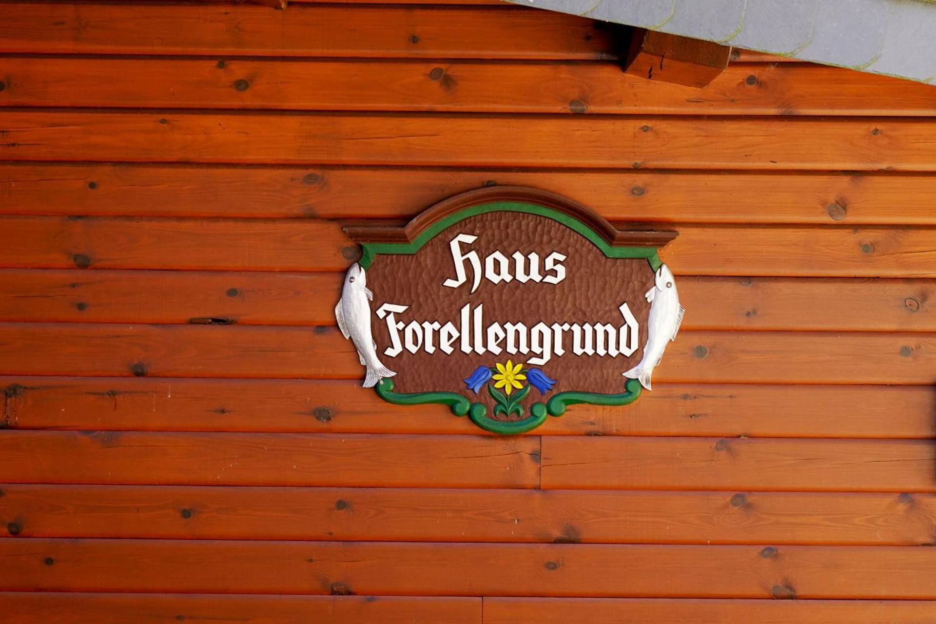 Ferienwohnungen Forellengrund Schierke Ngoại thất bức ảnh